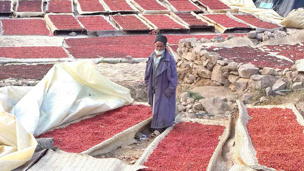 https://cdn.shopify.com/s/files/1/0847/6636/files/Collection-Center-Yemen-sundried-naturally-processed-coffee_1024x1024.jpg?v=1573693435